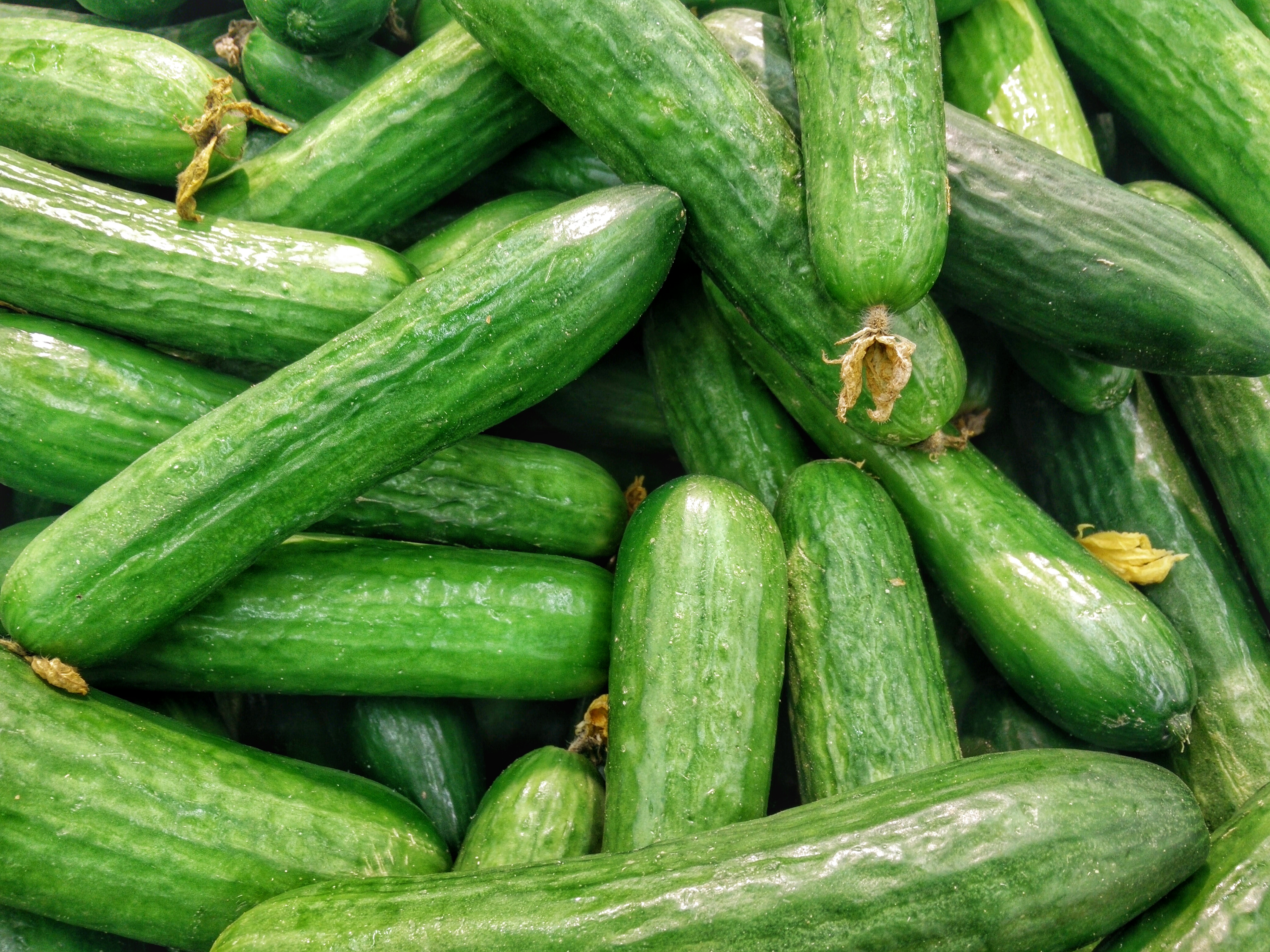 Salatalık 1kg