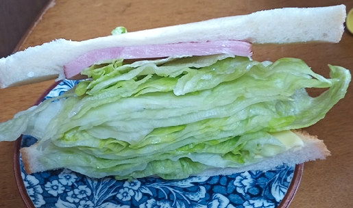 Sandviç Ekmeği