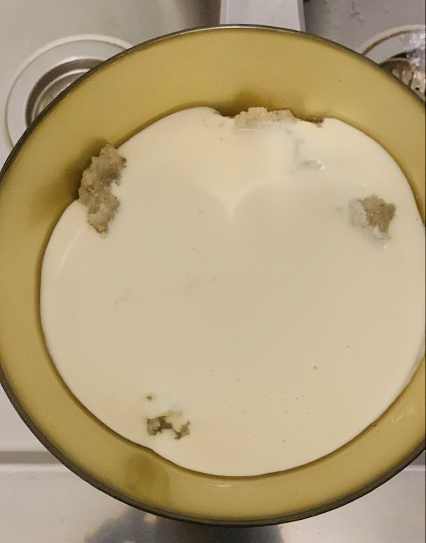 Yoğurt